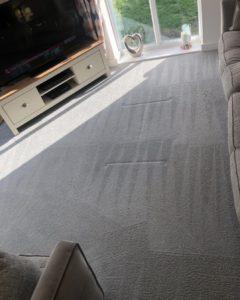 carpet cleaning in henley