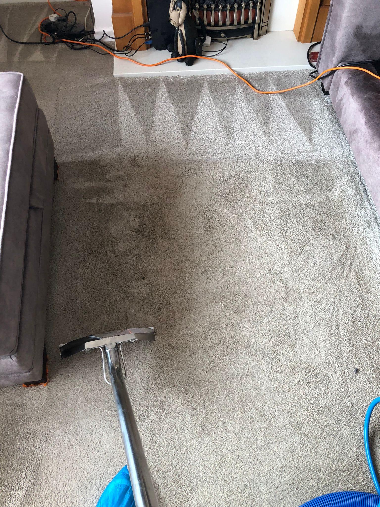 carpet cleaning in wallingford