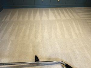 carpet cleaning in Henley