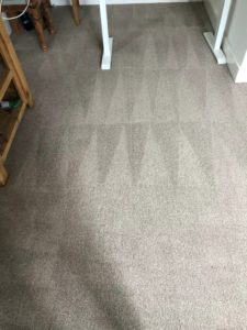 carpet stain protection in wallingford