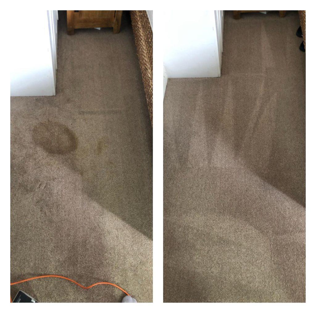 Oxfordshire carpet stain removal