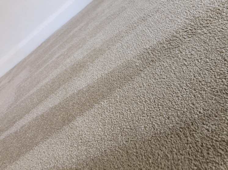 Carpet cleaning in Oxfordshire