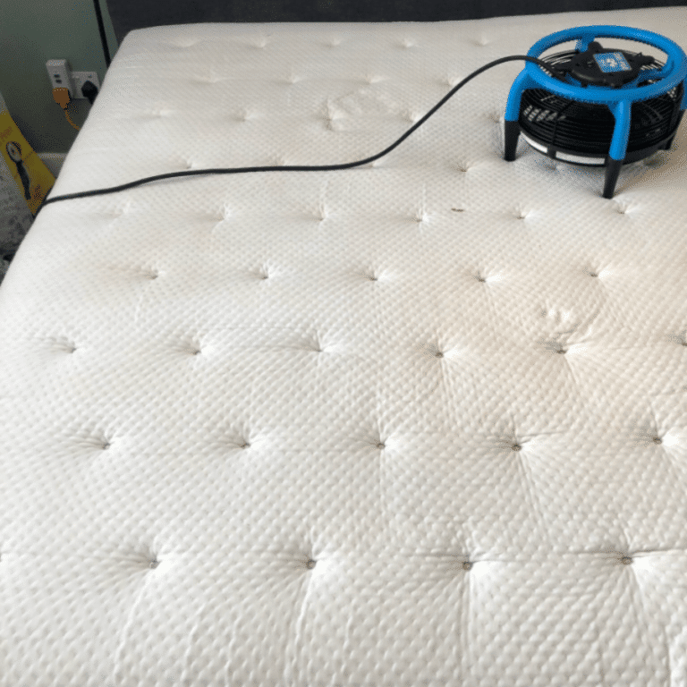 Mattress cleaned in Oxfordshire