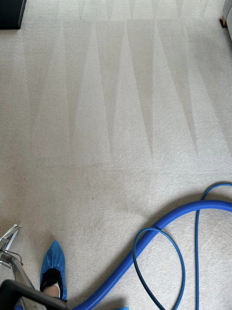 carpet cleaning in maidenhead