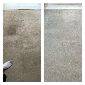 maidenhead stain removal carpet cleaning