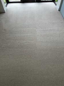 carpet protection in berkshire