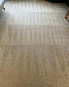 stain protection in maidenhead