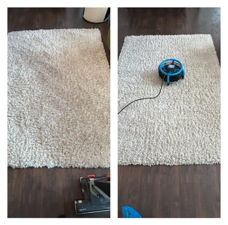 maidenhead rug cleaning