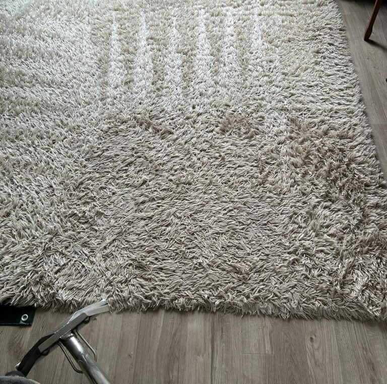 berkshire rug cleaning