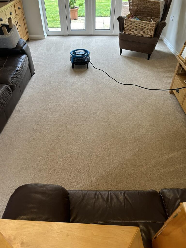 carpet cleaning in maidenhead